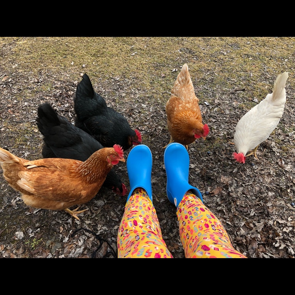 Meet your Posher, Elizabeth